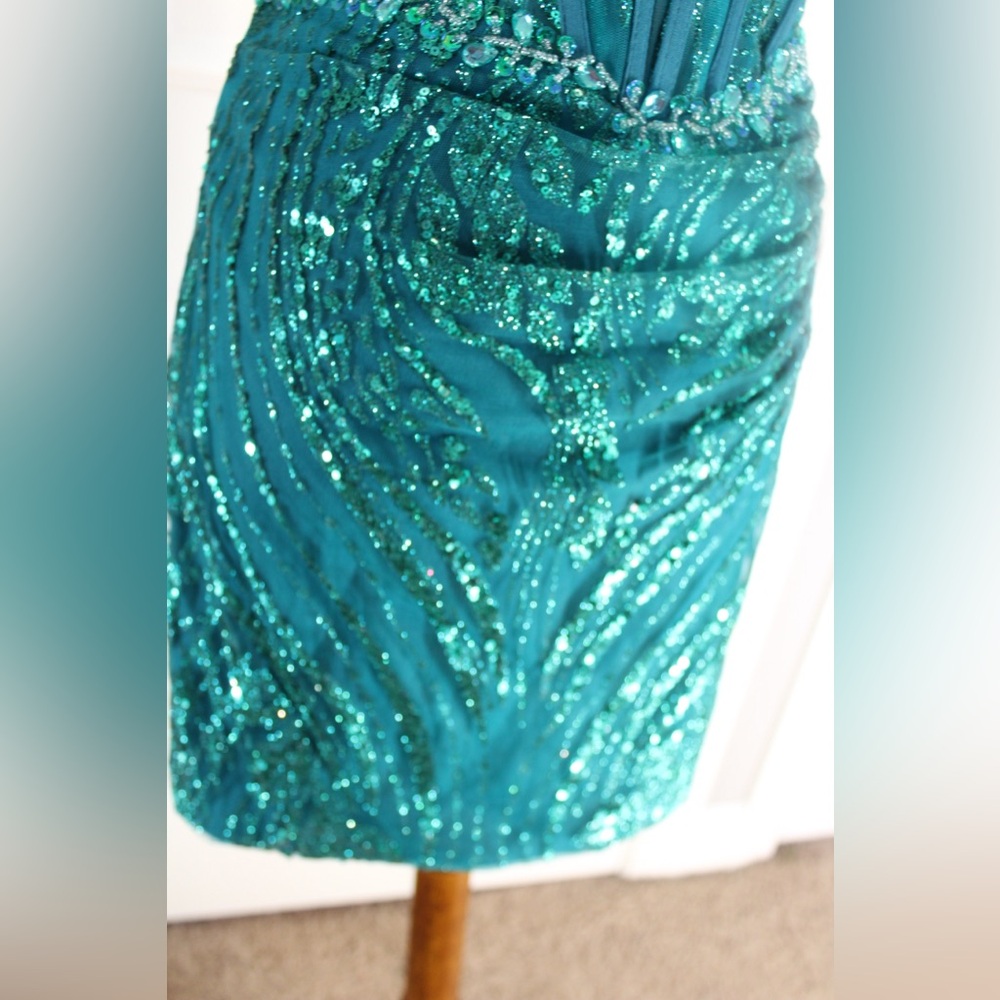 Sparkly Dark Teal Bodycon Corset Short Homecoming Dress With Sequins
Size 6 - Picture 4 of 16